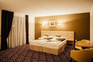 Отель Zana Vaii Арьешени Двухместный номер с 1 кроватью или 2 отдельными кроватями и собственной ванной комнатой-10
